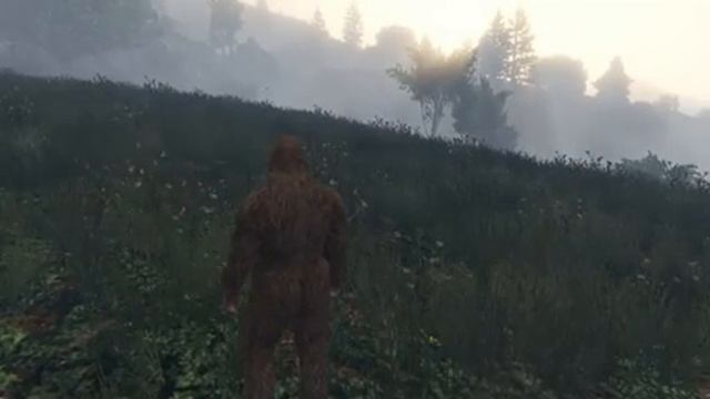 GTA 5 - ЙЕТТИ против ОБОРОТНЯ (Пасхалка Как стать йетти снежным человеком бигфут) #32
