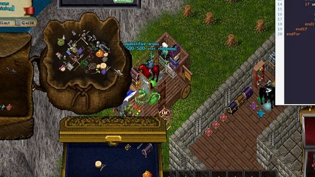 UO Outlands - New Razor Script Commands w/ Script for moving unidentified items смотреть онлайн