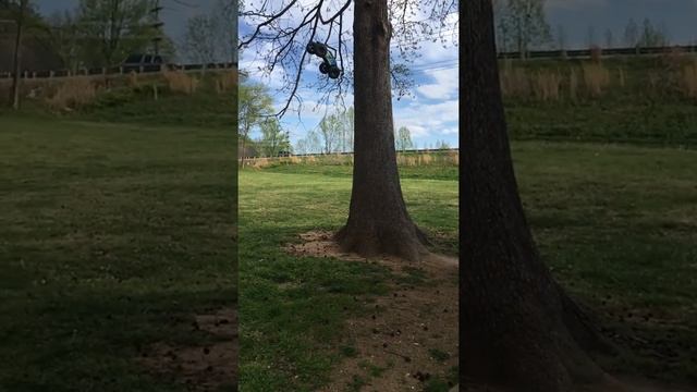 Erevo 2.0 tree climb fail смотреть онлайн