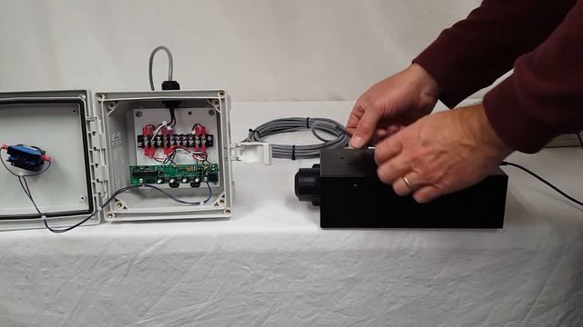 Remote, BCD Set Switches & 40mm Palm Start Switch Mounted in a NEMA 4X Enclosure DC-25T-DN-BCD-EOP смотреть онлайн