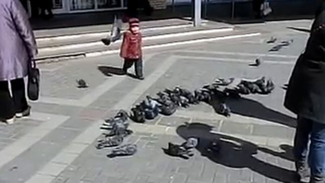 Casio EX-ZR100 samples смотреть онлайн