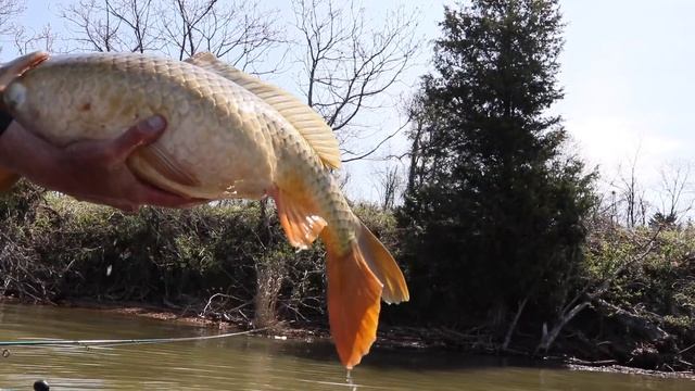 Bass Tournament on the Potomac River - FLW BFL first day of Practice! смотреть онлайн