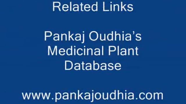 Octonary Ingredients of Stachys palustris Formulations: Pankaj Oudhia's Medicinal Plant Database смотреть онлайн