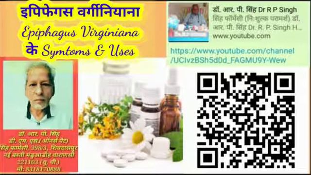 इपिफेगस वर्गीनियाना Epiphagus Virginiana के Symtoms & Uses смотреть онлайн