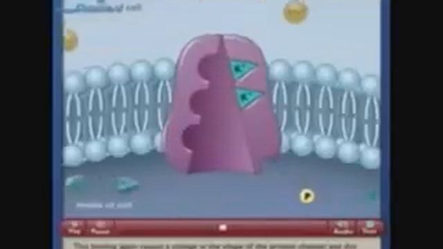 Калий-натриевый насос.flv смотреть онлайн