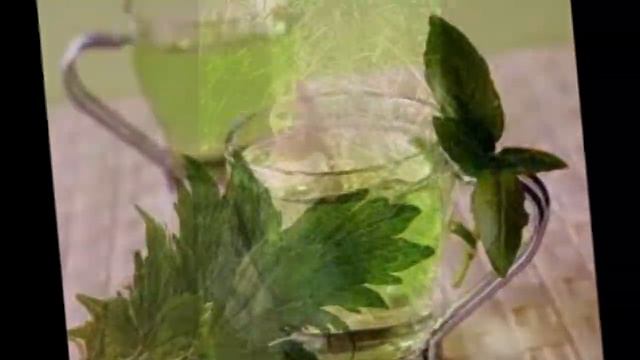 Війтівка Свято Івана Купала смотреть онлайн