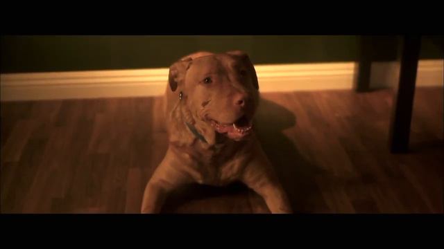 JIM MULLIN - SAVED Wounded Warrior Project Short Film смотреть онлайн