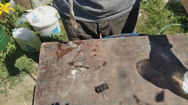 1 литр в сутки.Супер простой капельный полив из любой посуды. смотреть онлайн