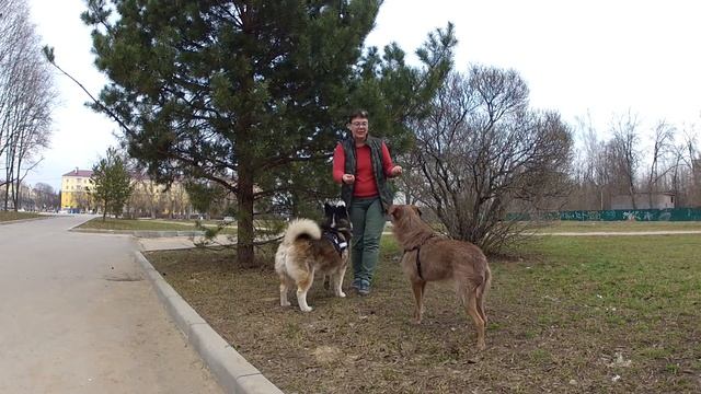 Приглашение на марафон смотреть онлайн