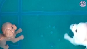 Мультик Барби купает Челси, встреча с Мидж Жизнь в доме мечты Life in the Dreamhouse ♥ Barbie Toys