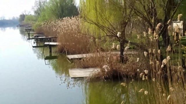 ОДИН ДЕНЬ ИЗ ЖИЗНИ В СЕРБИИ #2 ушли на карантин