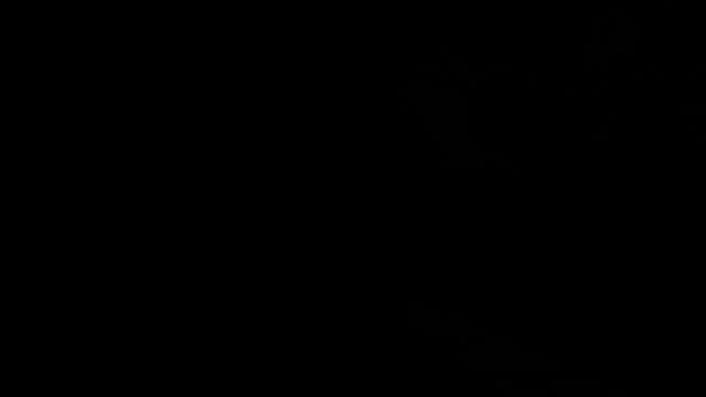 Медитация. Золотые Звуки Природы. Шум леса, пение птиц, журчание речки. смотреть онлайн