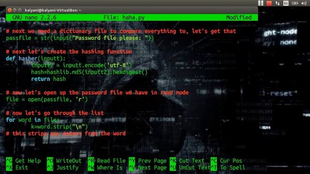 Hacking Python Password Hash смотреть онлайн