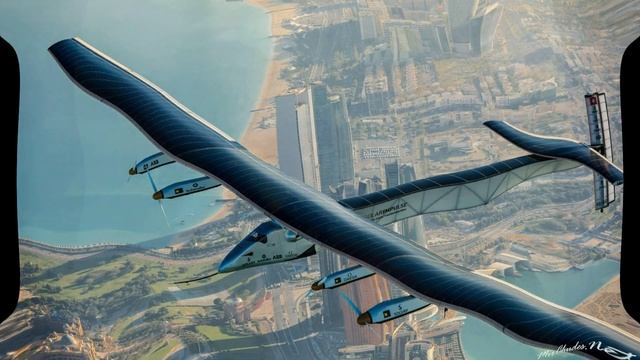 Зоологические Загадки