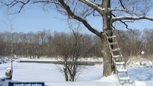 Солнечные батареи в Анюйском парке смотреть онлайн