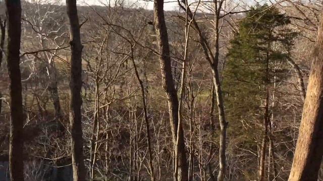 Beckley Creek Park Trail Guide: Coppiced Woods Trail смотреть онлайн