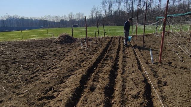 Azienda Agricola Da ZERO! A Costo ZERO! - Il Terzo Anno!