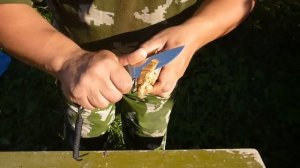 Как я готовлю гриб трутовик для вываривания на трут