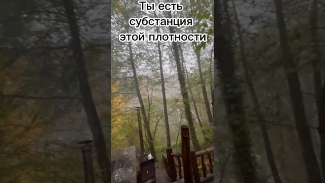 Ты есть субстанция этой плотности смотреть онлайн