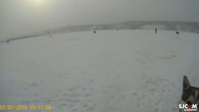 рыбалка на нижне-Бурейском водохранилище. смотреть онлайн