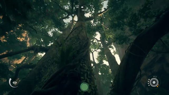 Ancestors: The Humankind Odyssey :Часть 2 Новые Новые Территории смотреть онлайн