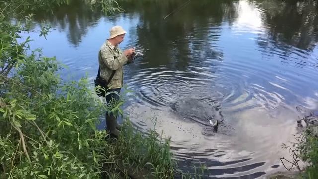 VoblerFish: воблер TsuYoki RODGER 86F смотреть онлайн