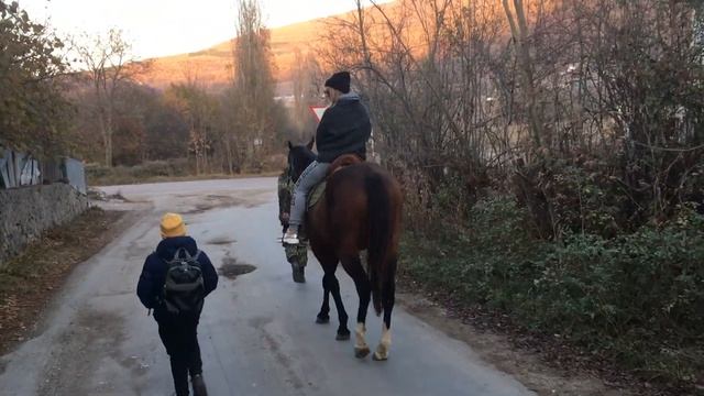 Село Соколиное. Прогулка верхом. Природа Крыма! Межсезонье - золотая осень 2020 семейный отдых смотреть онлайн