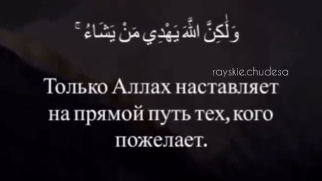 Красивое чтение Корана смотреть онлайн