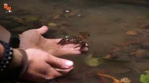 ЧЕЛЛЕНДЖ С ГИГАНТСКИМИ СЛИЗНЯМИ / Койот Питерсон на русском