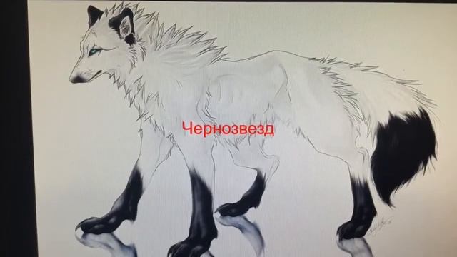 Коты воители в облике волков смотреть онлайн