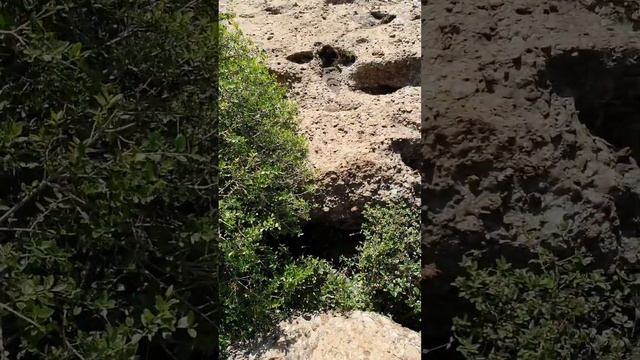 Это чудо природы! Красота божественная смотреть онлайн