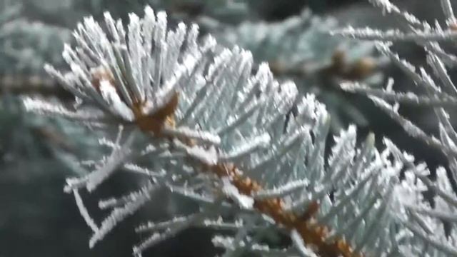 ТЕСТ Panasonic HDC TM80 Zoom видео фокус звук