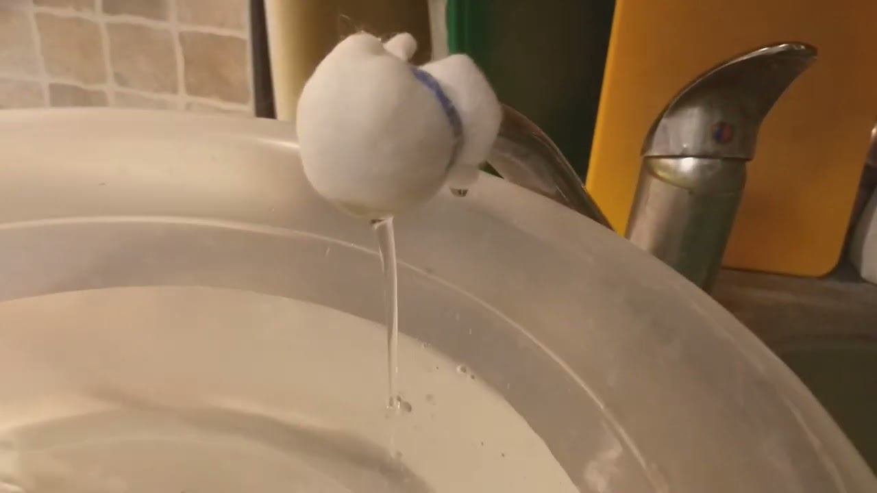 Водичка 15.08.2022