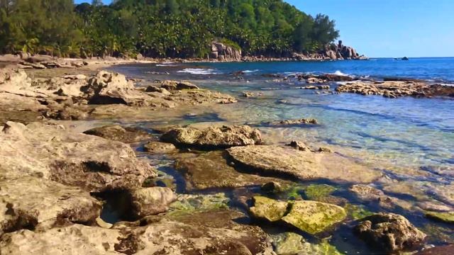 Takamaka Beach To Petit Police, Seychelles Travel Adventures episodes 10 смотреть онлайн