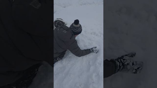 Сенбернар Мо и снег смотреть онлайн