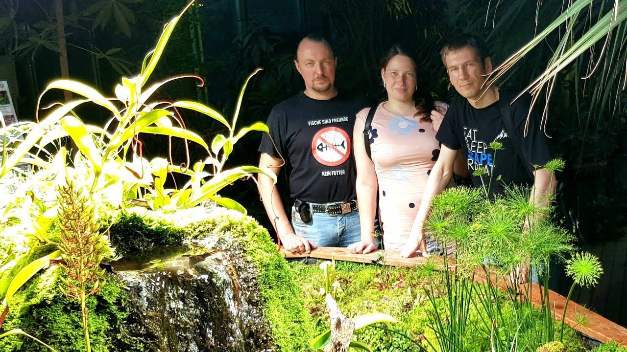 Florariumplants. Оформляем палюдариум в Аптекарском Огороде смотреть онлайн