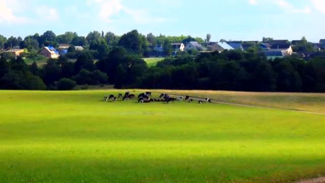 АНАТОЛИЙ КАШКА. УТОЧКИ. смотреть онлайн