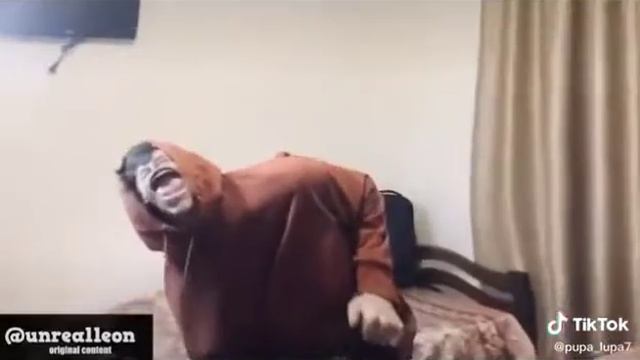 Pupa lupa. Я больше не могу смотреть онлайн