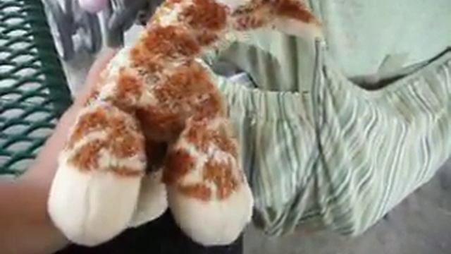 First trip to the park ★zeereborn★!!!! смотреть онлайн