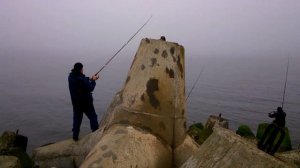 Ловля салаки Балтийский северный мол