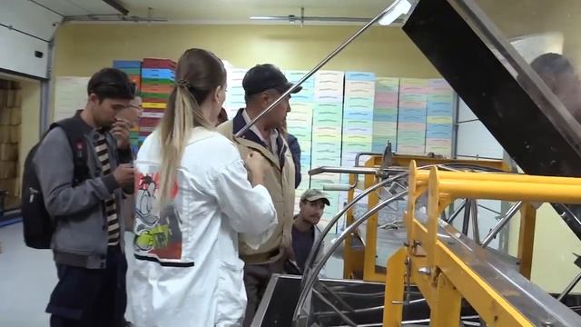 Современные способы идентификации. Бонитировка пчелиных семей смотреть онлайн