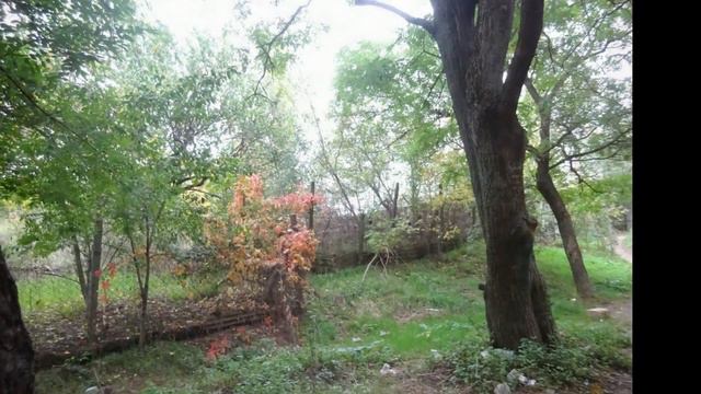 Вдоль реки Салгир . Гвардейское Симферопольский район Крым. смотреть онлайн