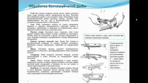 Первичная обработка рыбы