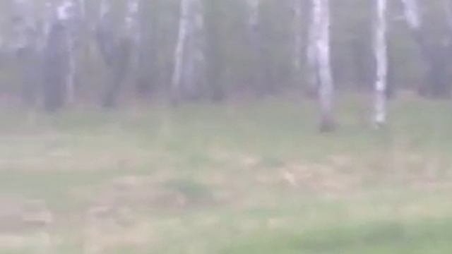 Единственое место где можно проехать на большую землю смотреть онлайн