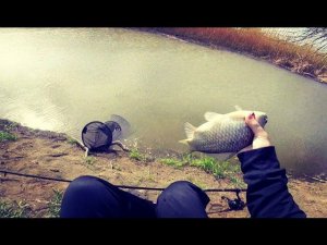 Ловля карася на закидушку. Карась на червя. Рыбалка на велосипеде.