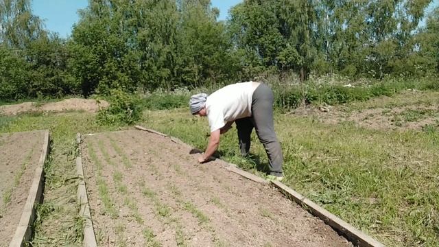 Прополка огорода)Мы работаем сами без рабочих? смотреть онлайн