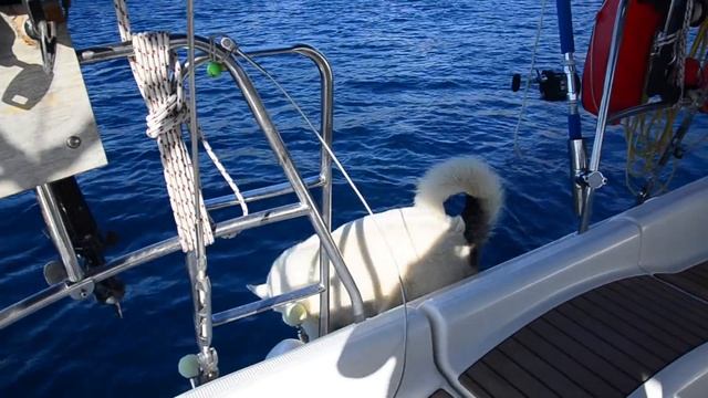Италия под парусом с капитаном Денисом Моревым смотреть онлайн