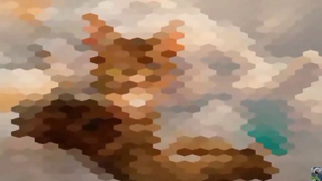 Абиссинская кошка