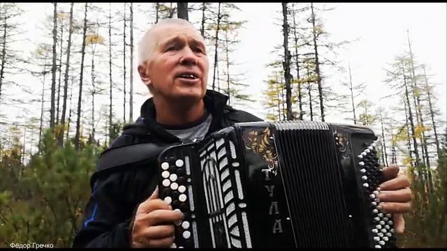 Фёдор Гречко Недотрога (баян) смотреть онлайн