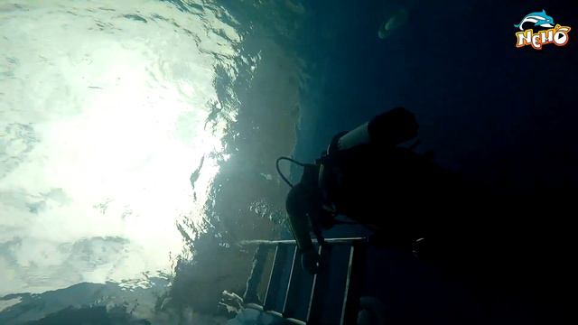 НЕ ЗАХОДИ НА ЭТОТ РОЛИК!!! смотреть онлайн